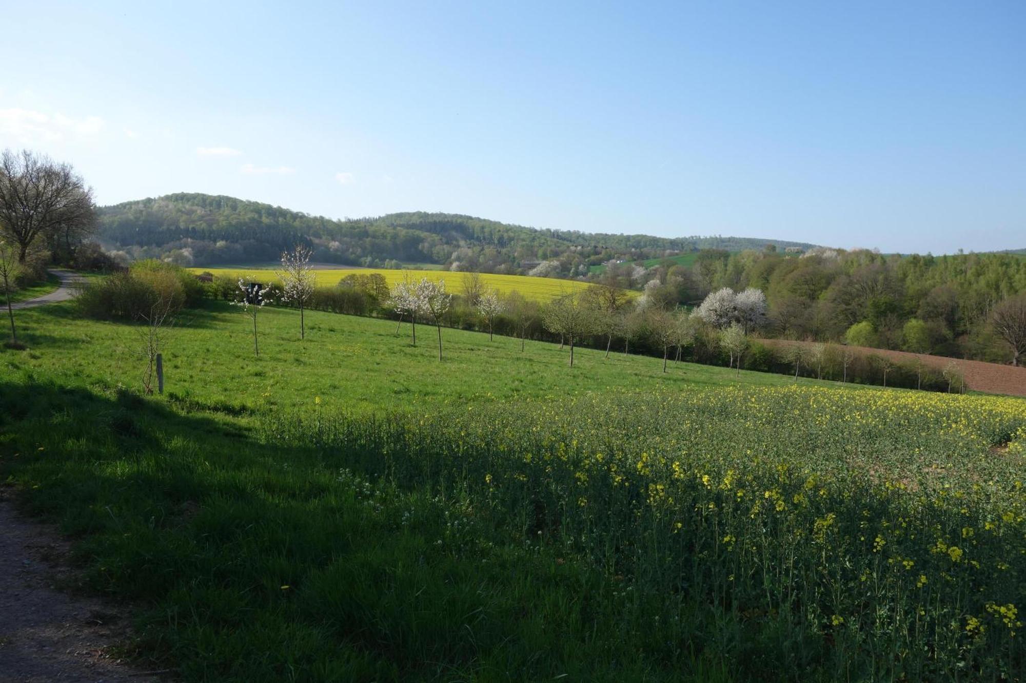 Solling Niedersachsen * Uslar